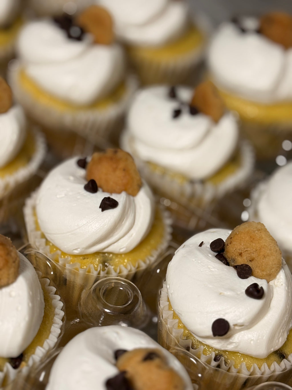 Wholesale Cupcakes by the Dozen