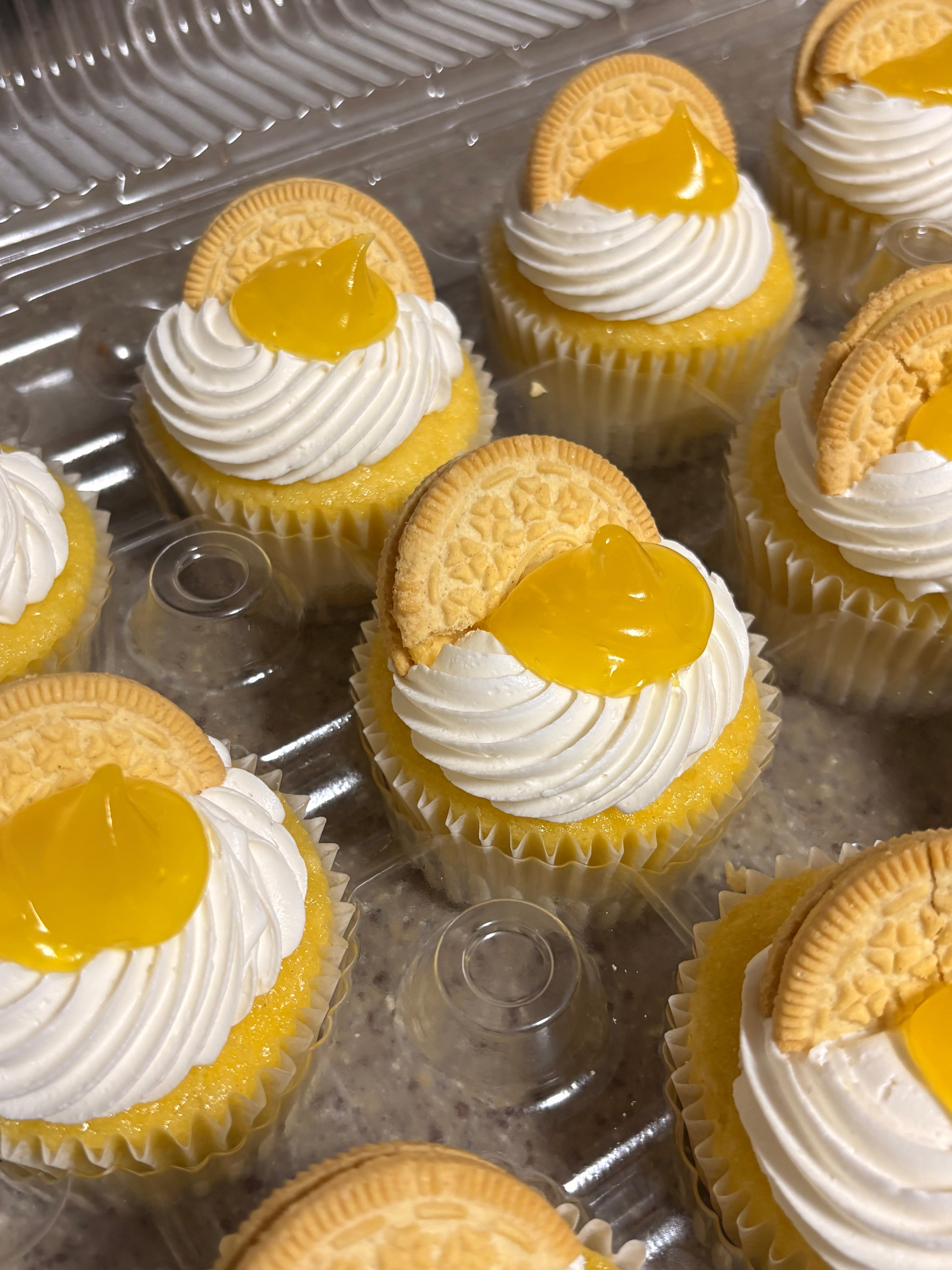 Cupcakes by the Dozen