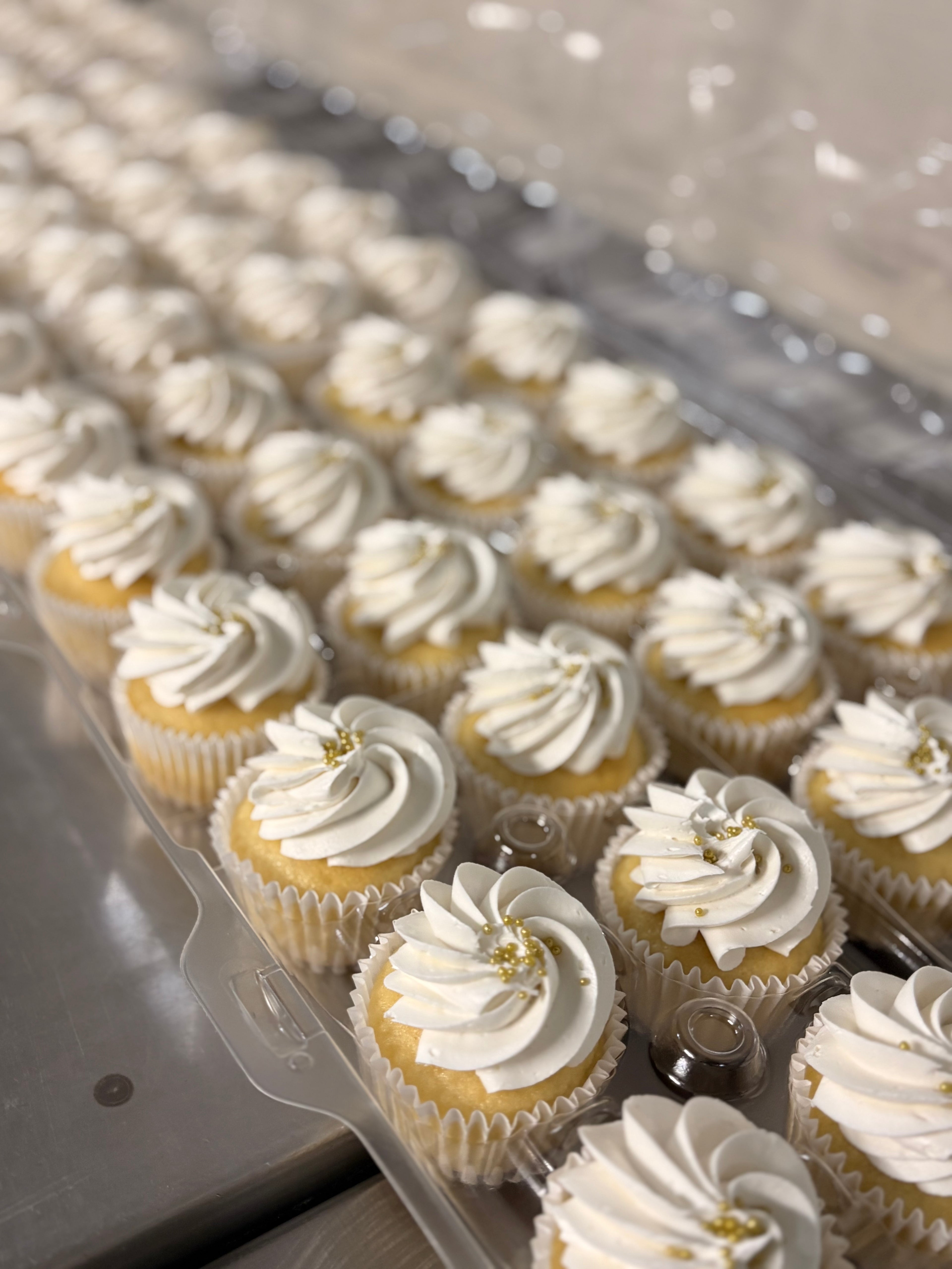 Wholesale Cupcakes by the Dozen