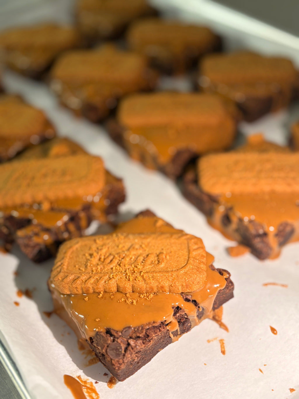 Wholesale Cookie Butter Brownies