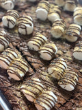 Wholesale S'mores Brownie