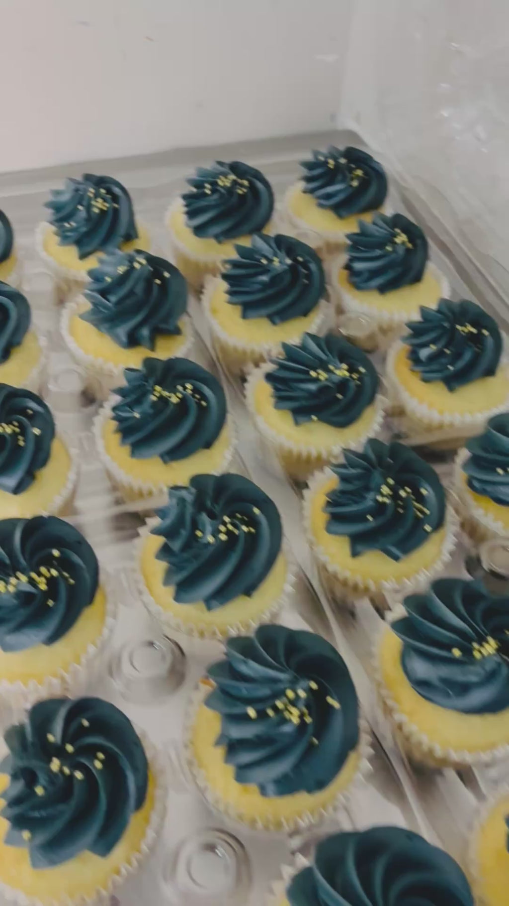 Cupcakes by the Dozen
