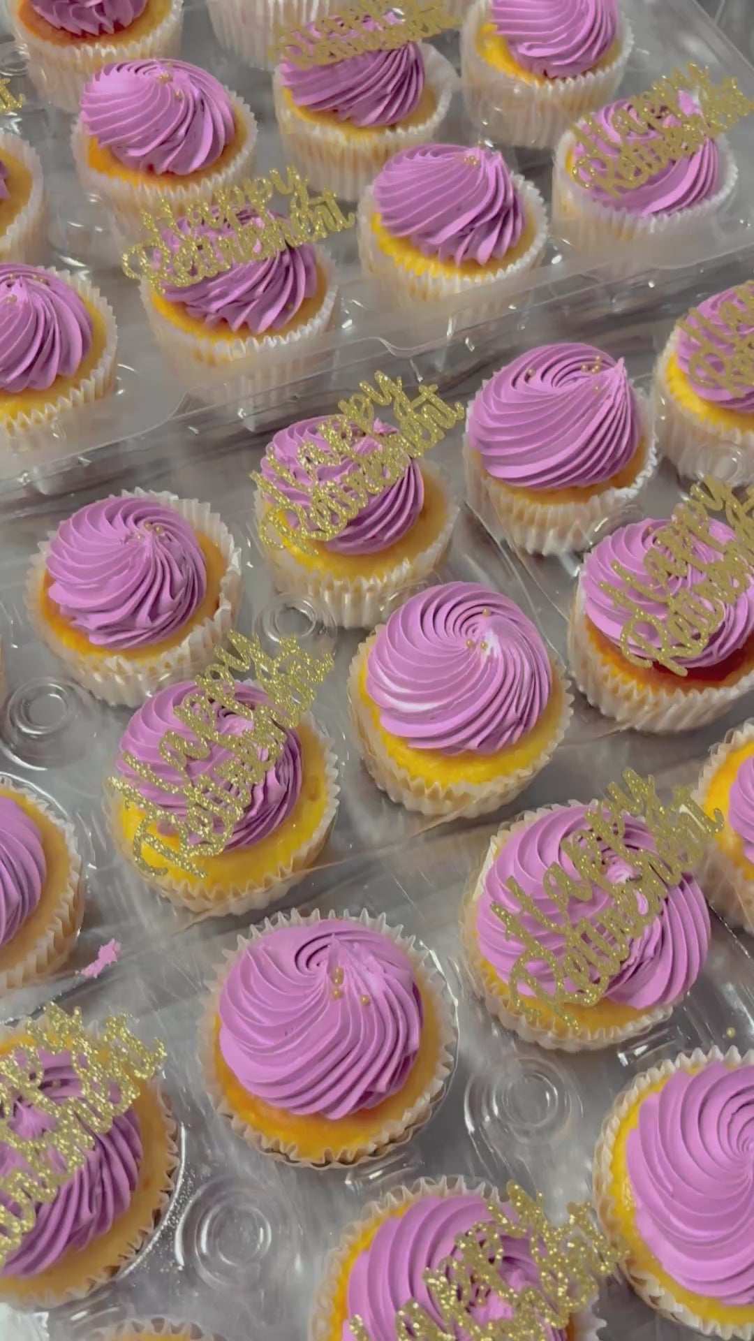 Cupcakes by the Dozen