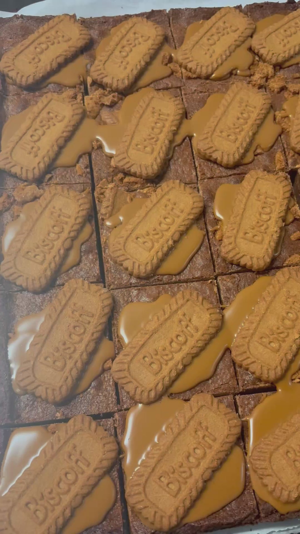 Wholesale Cookie Butter Brownies