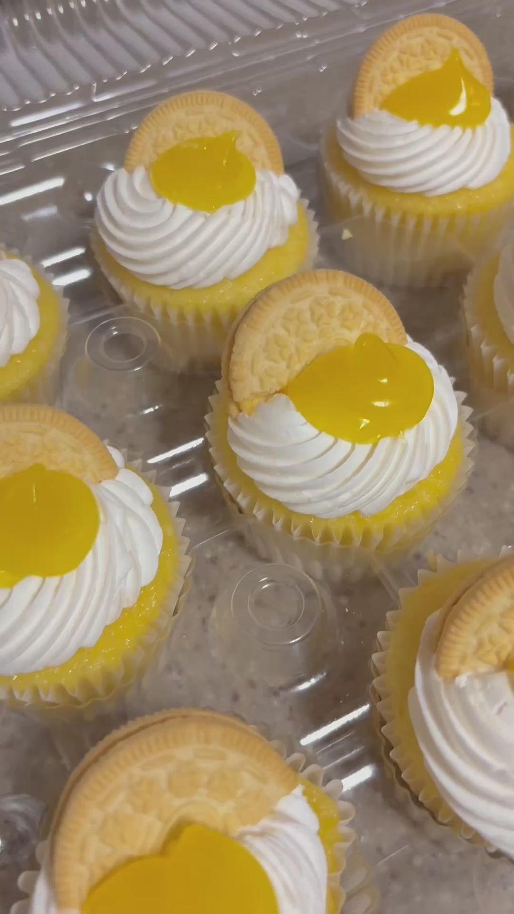 Cupcakes by the Dozen