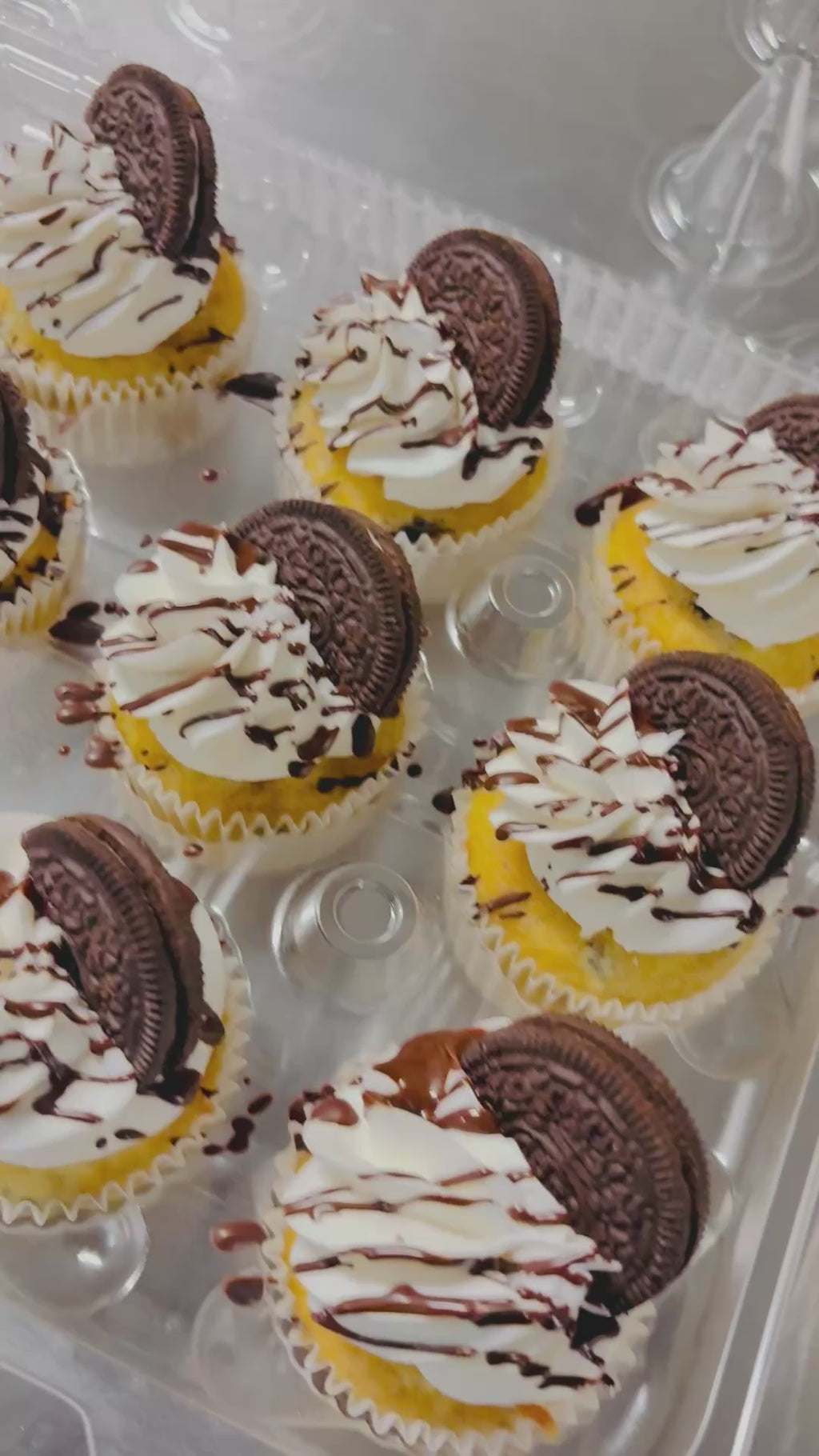 Cupcakes by the Dozen