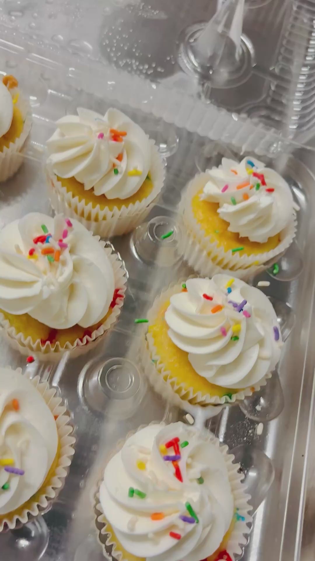 Cupcakes by the Dozen